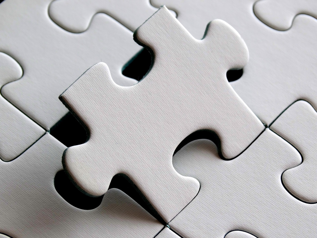 Puzzle of Life