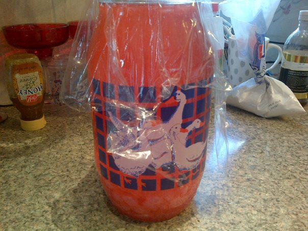 Steeping Jelly Bean Vodka