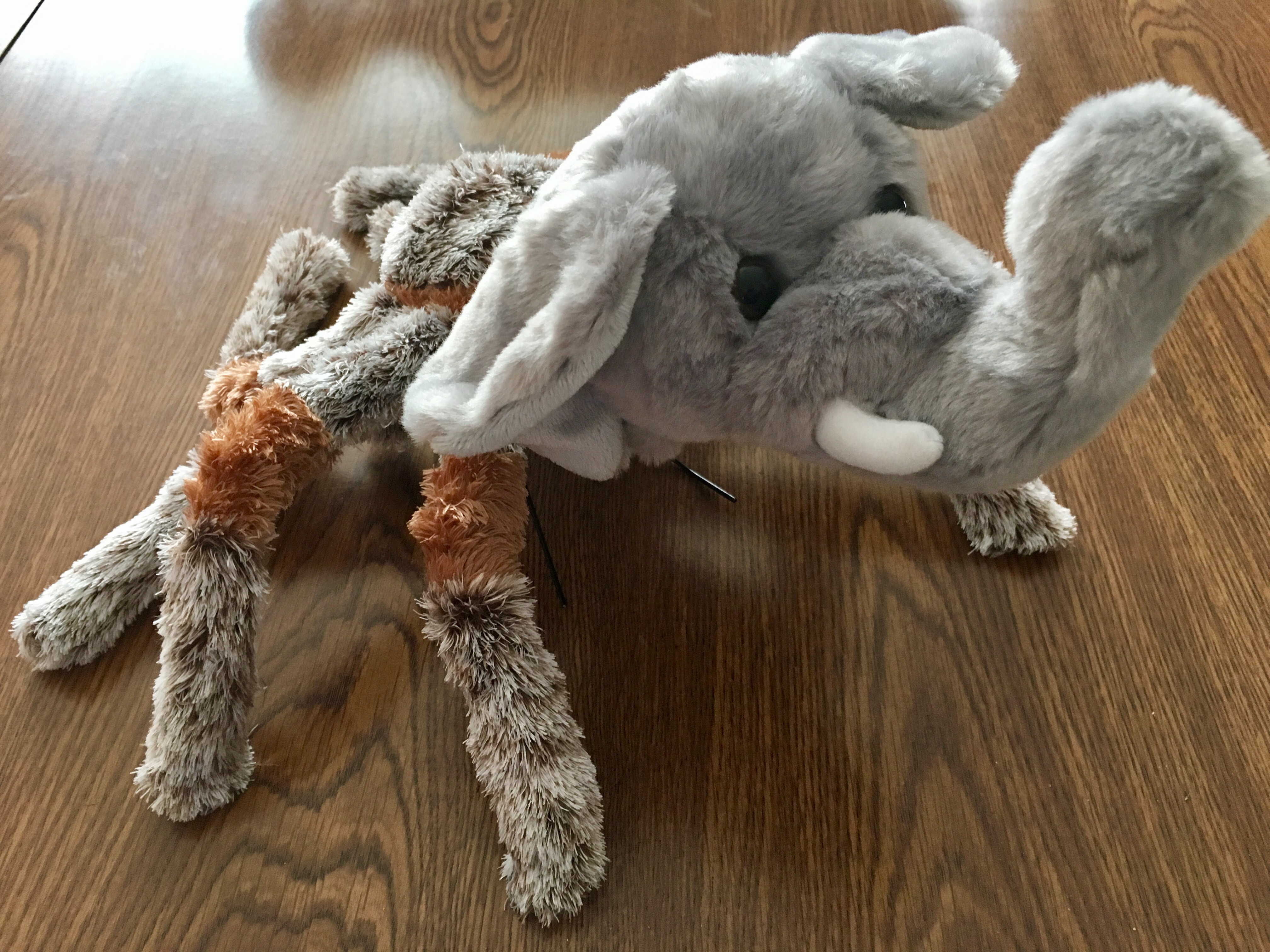 Elerantula